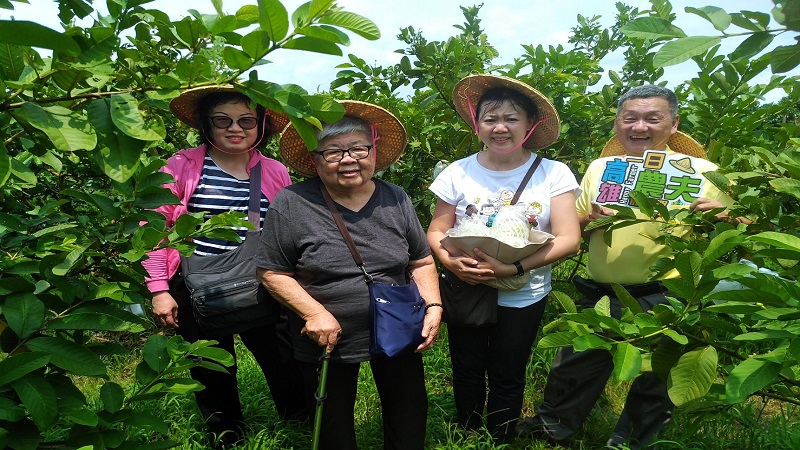 新加坡90歲婆婆　就愛高雄農村旅遊